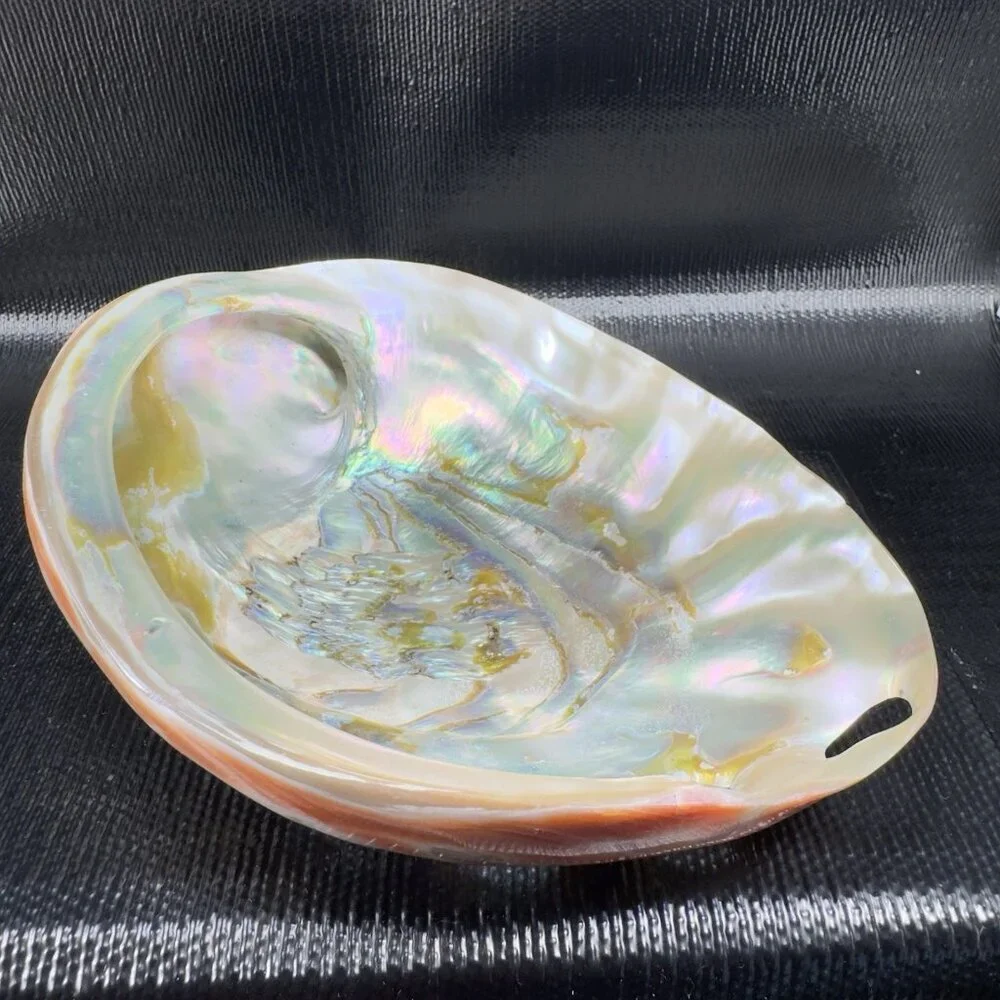 Natural Abalone Shell Large Dish Bowl Container Trinket Holder Iridescent Smooth
